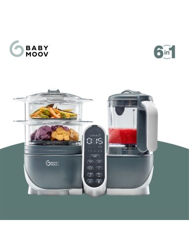 Babymoov trintuvas garintuvas Nutribaby + 6/1 pilkas A001124