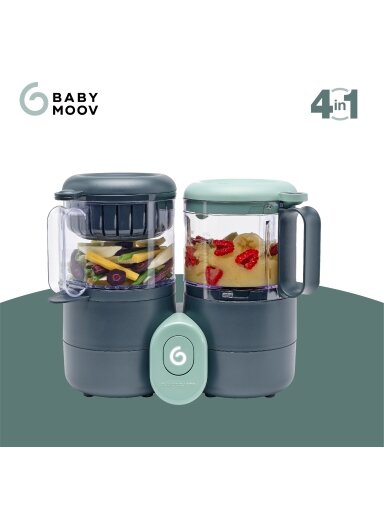 Babymoov trintuvas garintuvas Nutribaby One 4/1 A001133