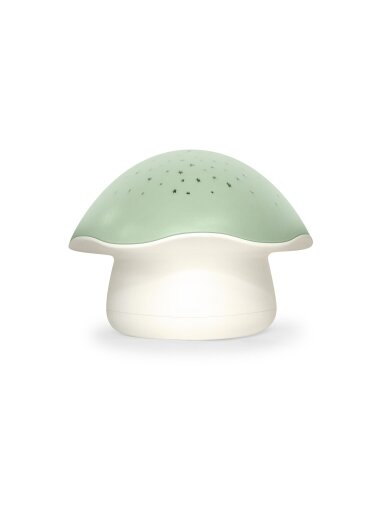Pabobo naktinė lemputė-projektorius Mushroom Green