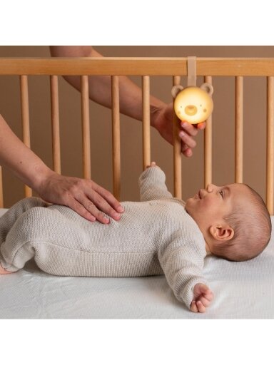 Taf Toys naktinė lemputė Dream Bear