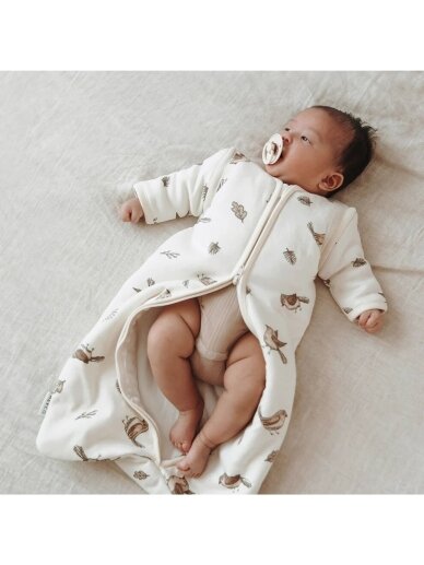 Sleeping bag for baby, Meyco Baby, 70cm, TOG 2.5(Robin multi) 5