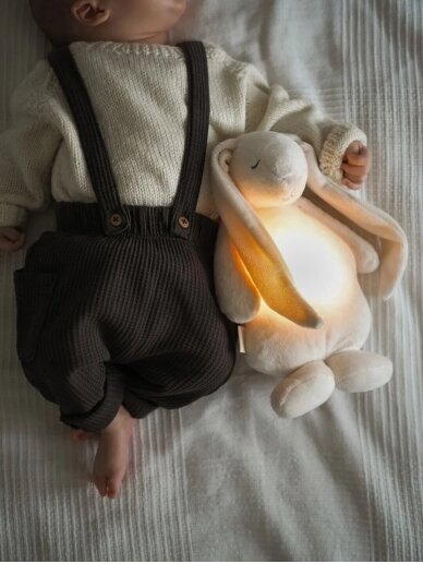 Sleeping bag - rabbit toy, Moonie (Silver) 2