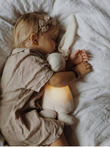 Sleeping bag - rabbit toy, Moonie (Silver) 7
