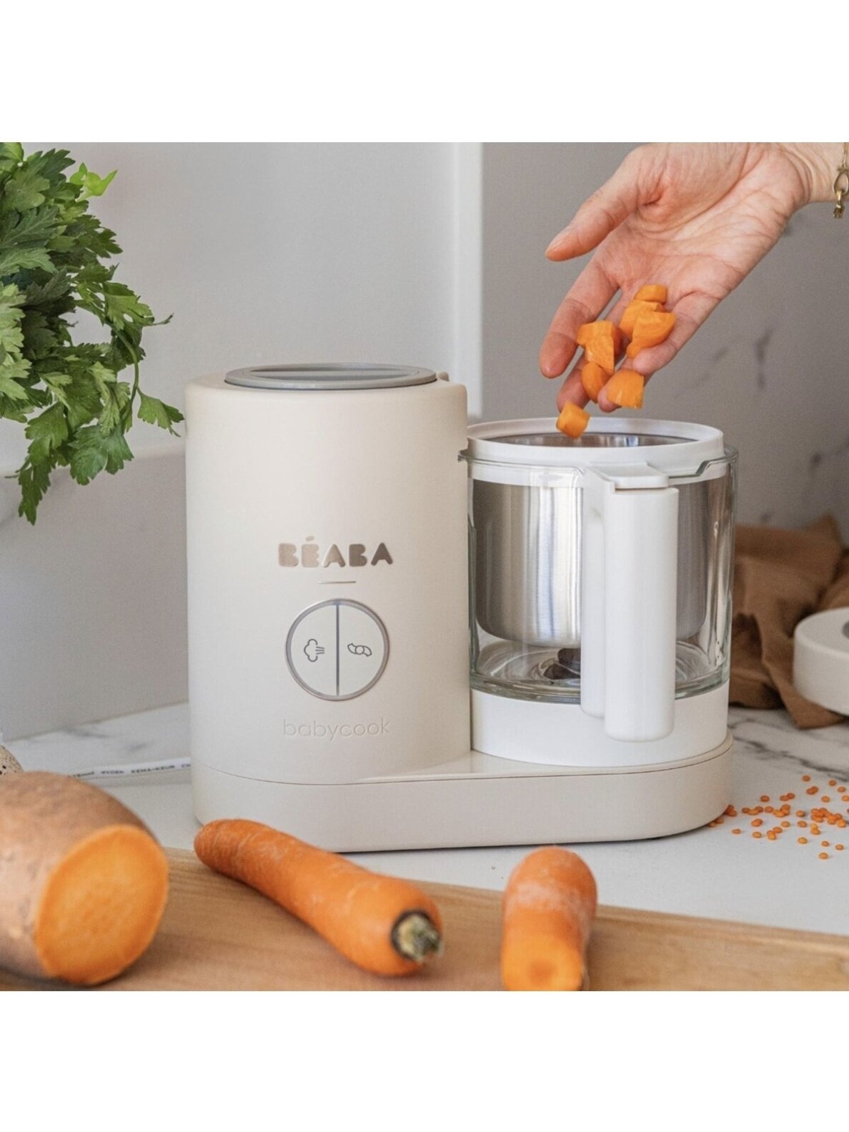 Babycook Neo Baby Food Maker, Béaba (Clay Earth) 1