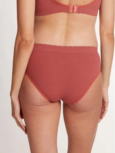 Viscose panties Zoé, Cache Coeur (Terracotta) 2