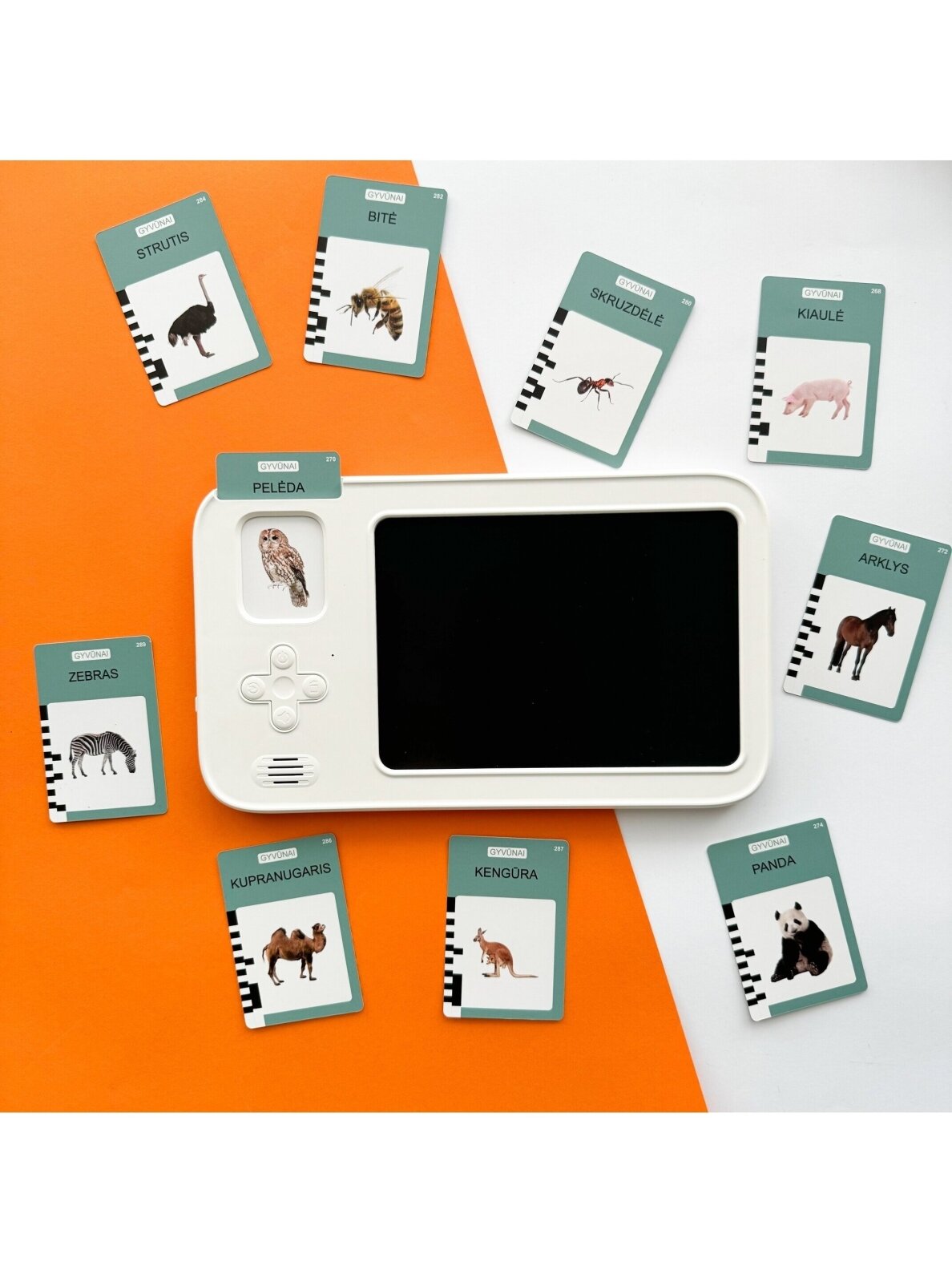 Yes For Skills Lithuanian-voiced cards "Talking Cards" with a drawing tablet 11